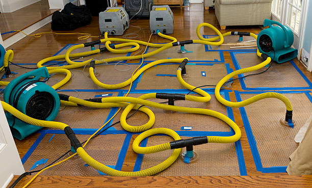 Professional Crawl Space Water Removal technician working in Las Vegas, NV
